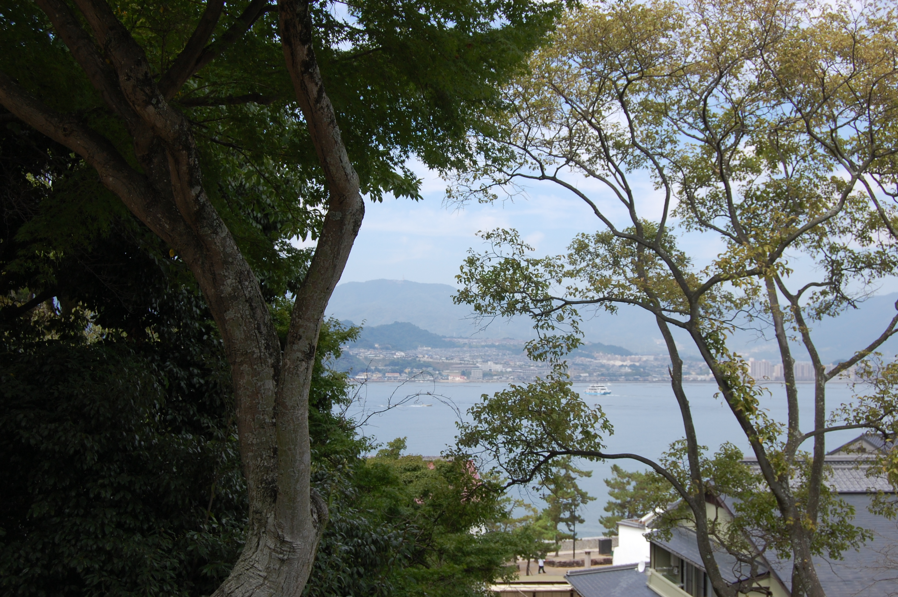 Miyajima Heights: Photo by Sharon Burtner